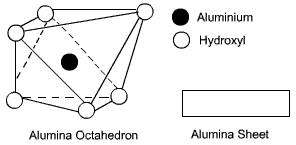 Explain the basic structures of clay minerals.