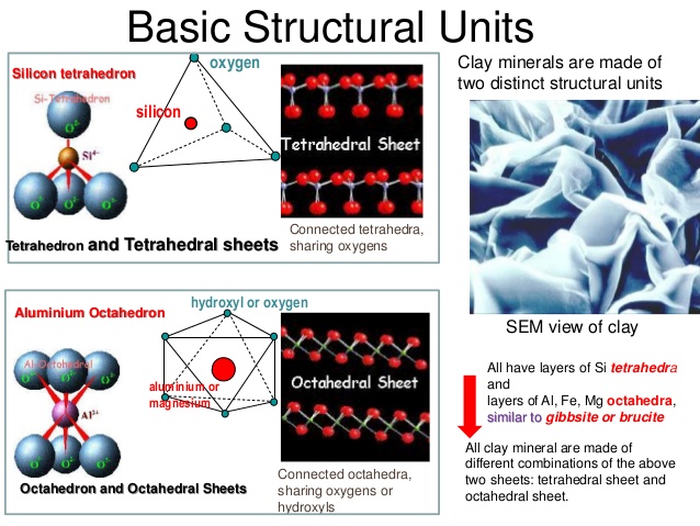 Explain the basic structures of clay minerals.