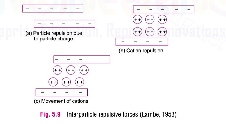 Explain the various clay particle interaction forces.
